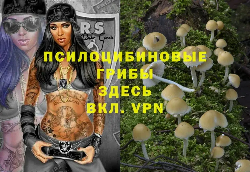 omg сайт  купить закладку  Приморско-Ахтарск  Псилоцибиновые грибы Magic Shrooms 